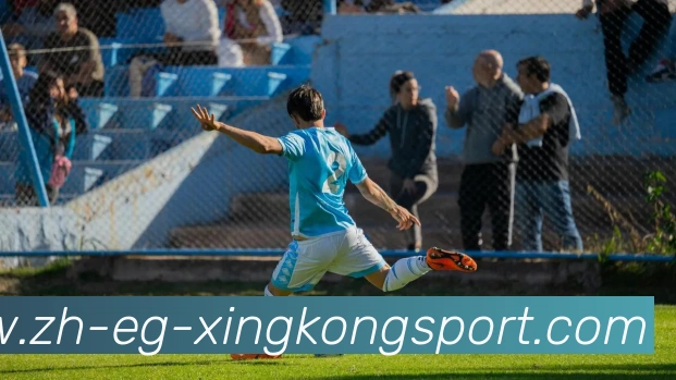 星空体育平台生态图