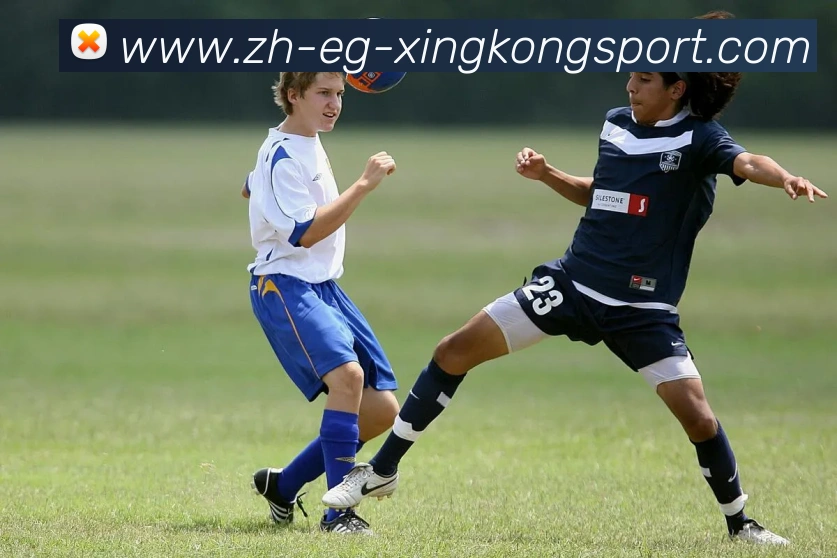 星空体育APP 封面图